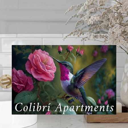 Colibri Apartamentos Vista Mar โมฮาการ์ ภายนอก รูปภาพ