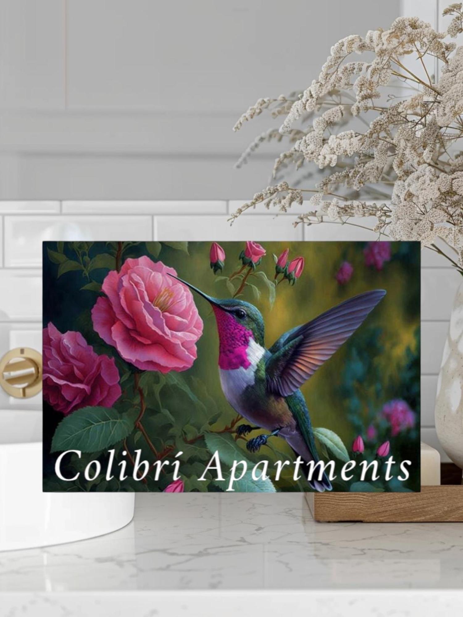 Colibri Apartamentos Vista Mar โมฮาการ์ ภายนอก รูปภาพ